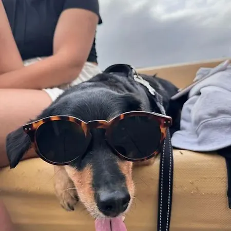 Precioso Estudio Con Terraza En Florida E1